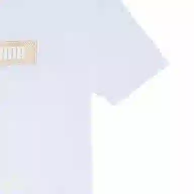 PUMA Classics GS Box Logo Tee