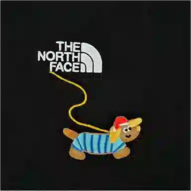 THE NORTH FACE Polo