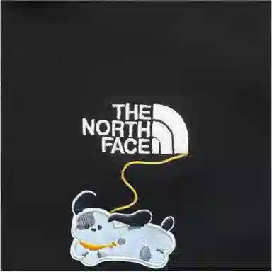 THE NORTH FACE logoPolo