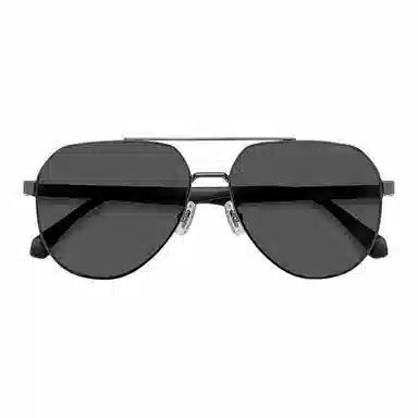 Polaroid Aviator Sunglasses