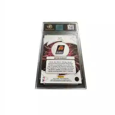 PANINI KD RPA