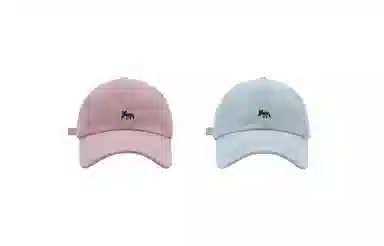 IOTS Embroidered Fox Cap