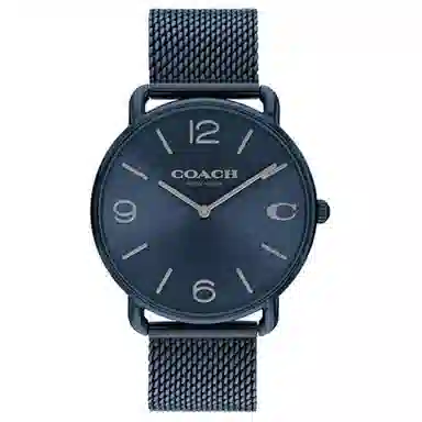 COACHELLIOT 41mm 14602650