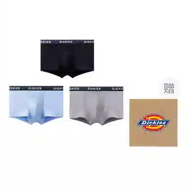 Dickies 3