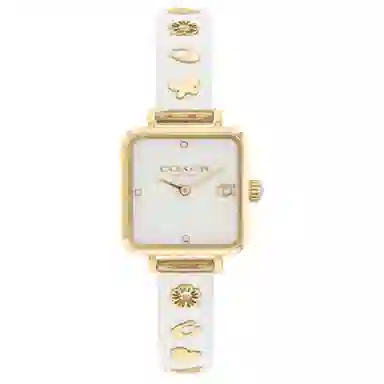 COACH CASS C 14504308