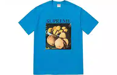 Supreme FW18 Still Life Tee Bright Blue T