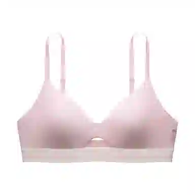 Bananain 311Standard