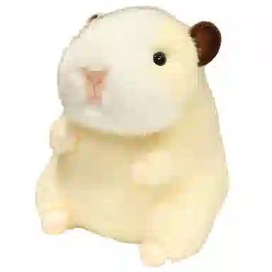 21cm26cm36cm45cm