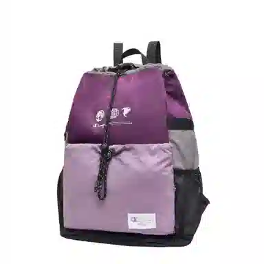 Champion Traveller Backpack