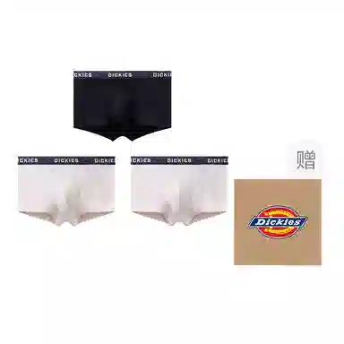 Dickies 3