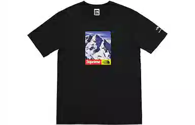 Supreme x The North Face FW17 Snow Mountain Tee Black