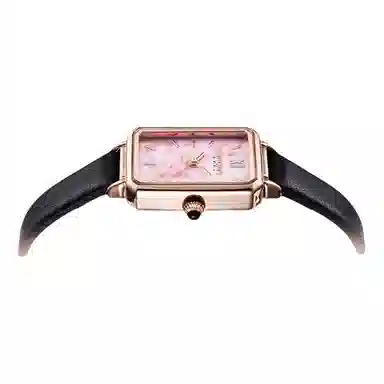 JULIUS JL ins JW1-255A