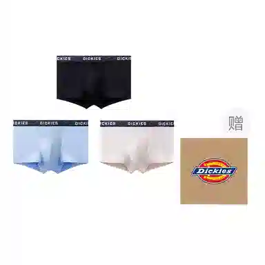 Dickies 3