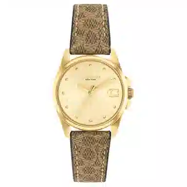 COACH Greyson 14504107