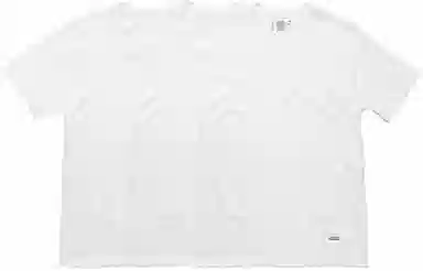 Supreme Hanes Tagless Tees White