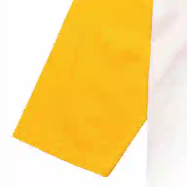 Champion T