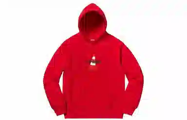 Supreme Cone Hooded Sweatshirt