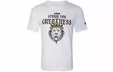 Nike Dri-FIT Lebron Strive For Greatness T