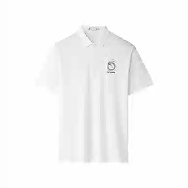 HLA POLO