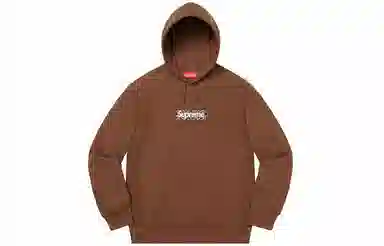 Supreme Bandana Box Logo Hooded Sweatshirt Brown