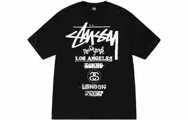 Stussy World Tour T