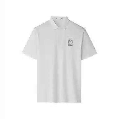 HLA POLO