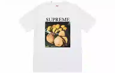 Supreme FW18 Still Life Tee Ash Grey