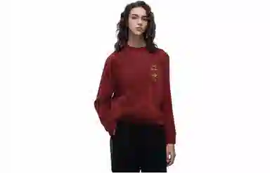 Arcteryx Extraordinary