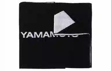 Y-3