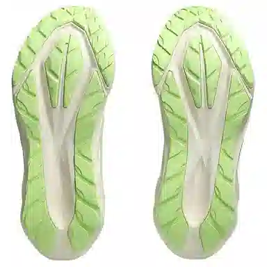 Asics NOVABLAST 5 TR Nature Bathing