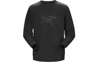 Arcteryx Emblem Mentum Bird Emblem LogoT