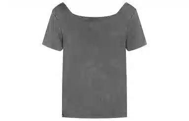 Champion SS25 Mineral Dye T