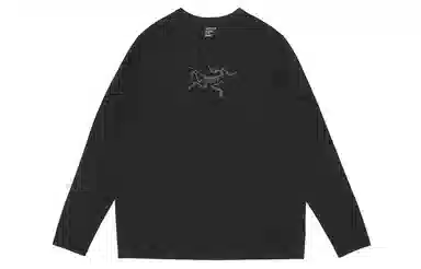 Arcteryx Cormac Logo LS T