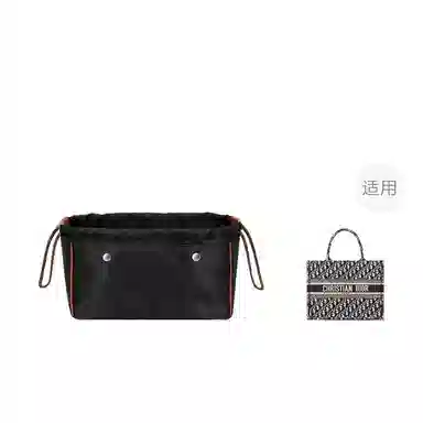 DiorBook tote