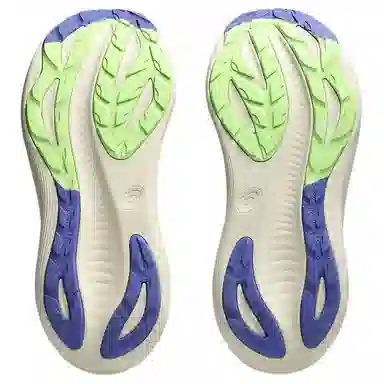Asics GEL-NIMBUS 27 TR NATURE BATHING