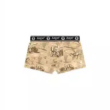 Aape 1