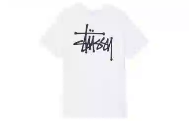 Stussy T