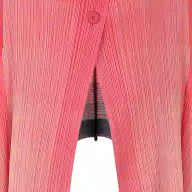 PLEATS PLEASE ISSEY MIYAKE