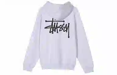 Stussy BASIC ZIP HOOD logo