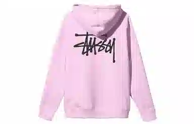 Stussy BASIC ZIP HOOD logo