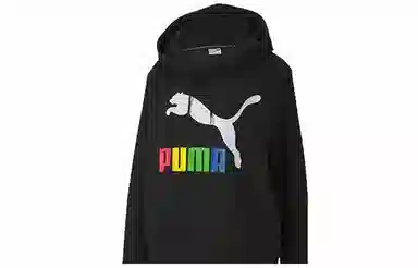 Puma Classics Logo Hoody