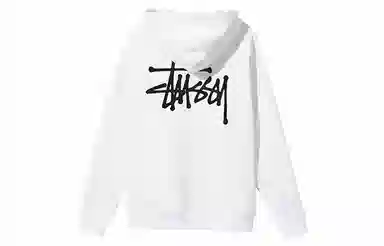 Stussy BASIC ZIP HOOD logo