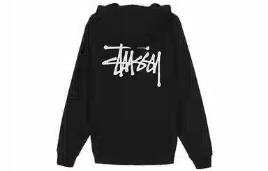 Stussy BASIC ZIP HOOD logo