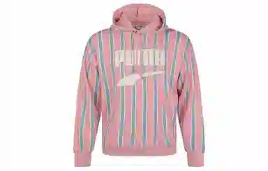 Puma Downtown PO Graphic Hoody