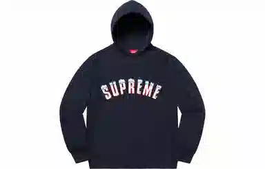 Supreme FW20 Week 1 Icy Arc Hooded Sweatshirt Logo