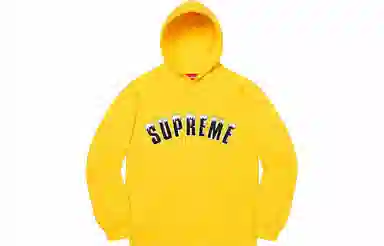 Supreme FW20 Week 1 Icy Arc Hooded Sweatshirt Logo