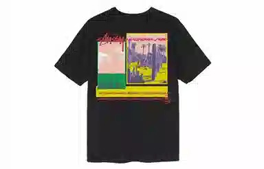 Stussy Palm Desert Tee