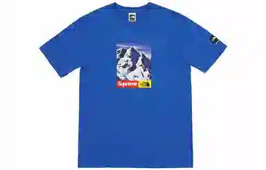 Supreme x The North Face Mountain Tee Royal