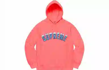Supreme FW20 Week 1 Icy Arc Hooded Sweatshirt Logo