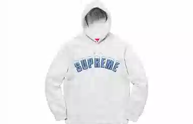 Supreme FW20 Week 1 Icy Arc Hooded Sweatshirt Logo